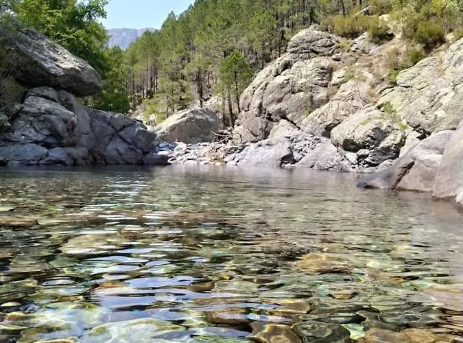 Appartement Briloc Centre Ajaccio (Corsica)